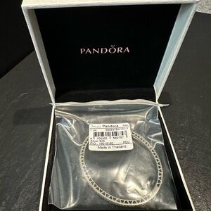 NWT Silver Radiant Hearts of Pandora Bangle with pastel blue enamel size small